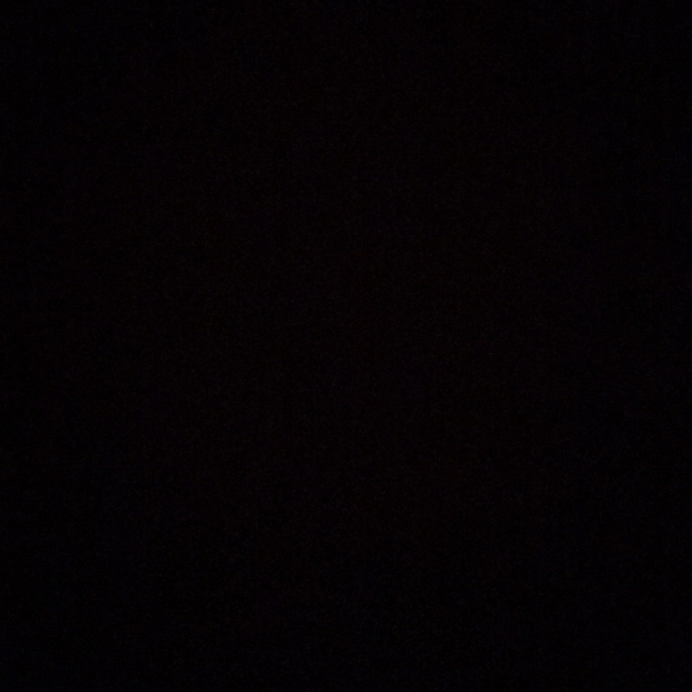 Meet your Posher, Sammy